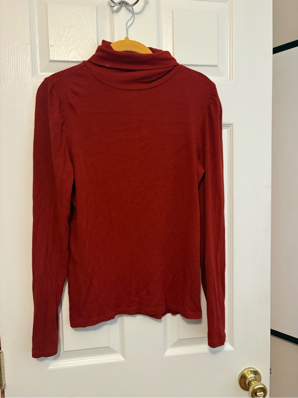 Burnt orange/burgundy Ribbed Turtleneck Long Sleeve Top
